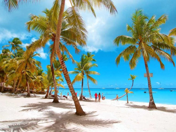 Tours Isla Catalina Todo los Dia